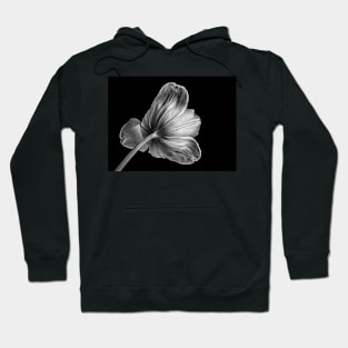 White Tulip in Black and White from Behind with Black Background Hoodie